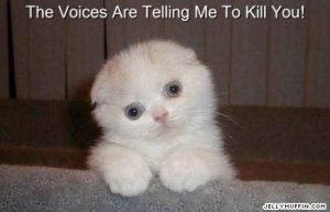 Funny-Things-random-967930_440_284