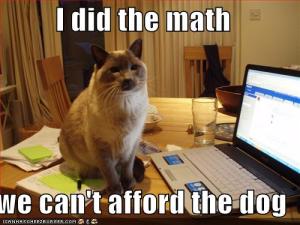 funny_animal_pictures_10