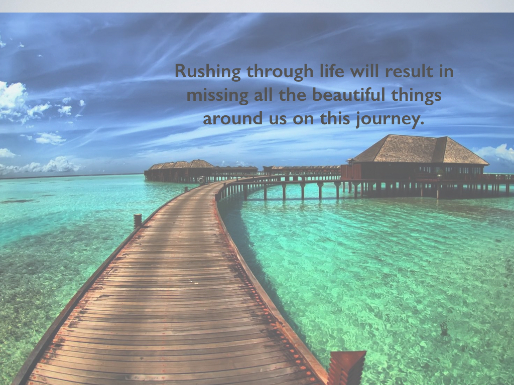 See the beauty on the journey.001