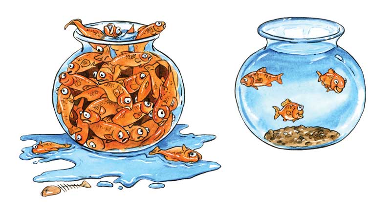 Carrying-Capacity-Image