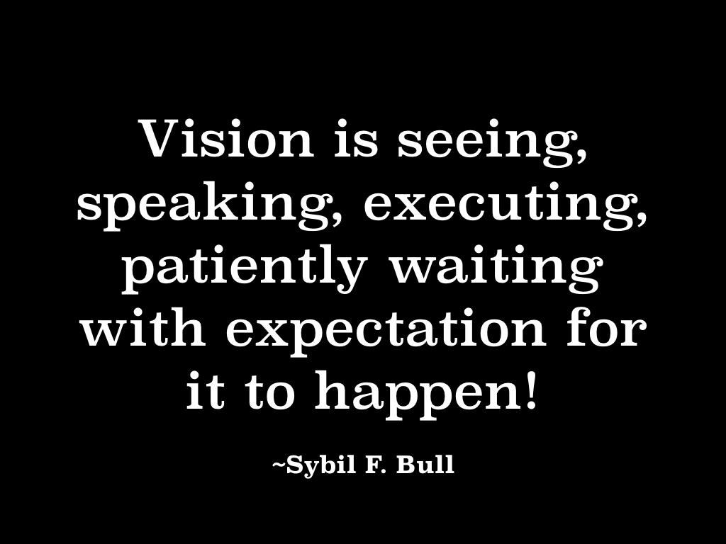 vision-001