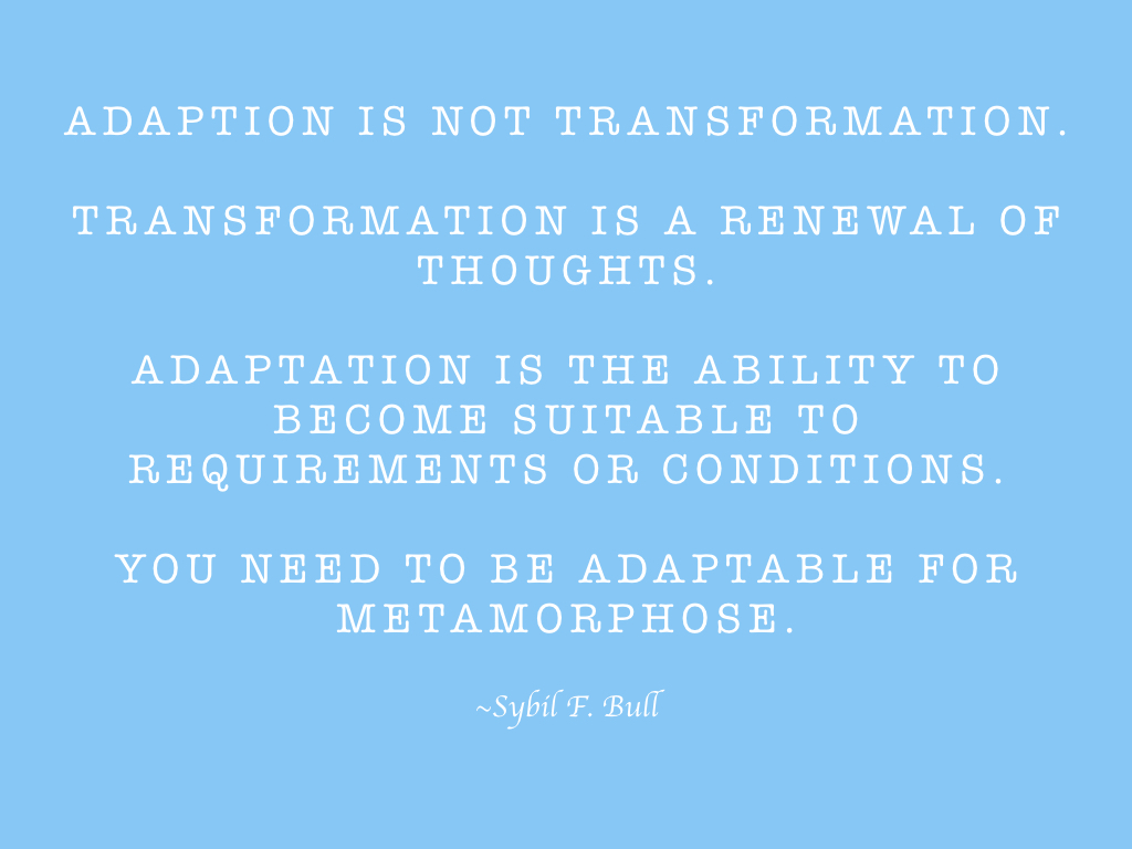 transformation-with-adaptation-001