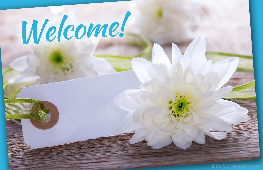 Welcome-White-Flowers-P8824dc11