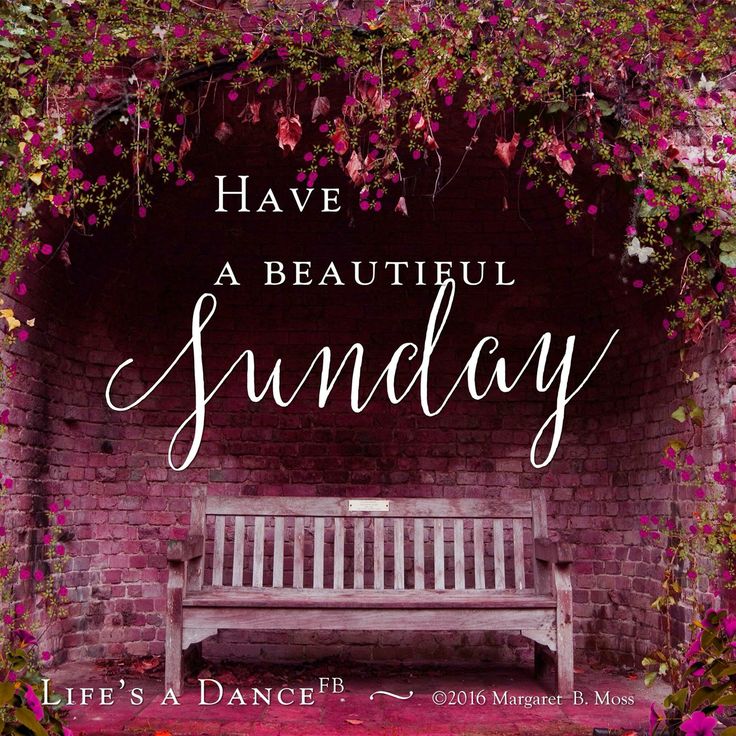 17ae3fc73b3b4479929d3b9fd6efb37c--sunday-messages-sunday-wishes