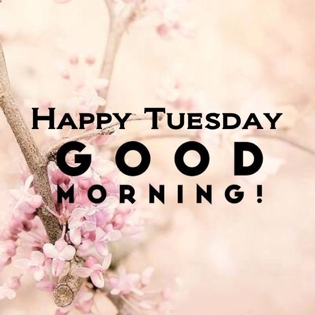 Tuesday-Quotes-Of-The-Day