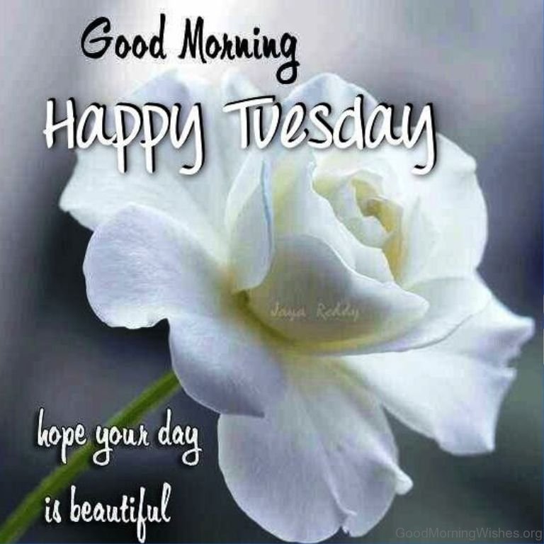 Good-Morning-Happy-Tuesday-Hope-Your-Day-Is-Beautiful