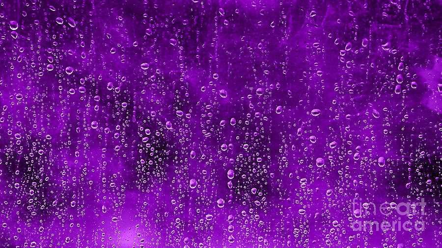 purple-rain-prince-tribute-marvin-blaine