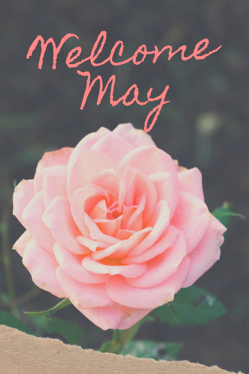 Bloom.jpg