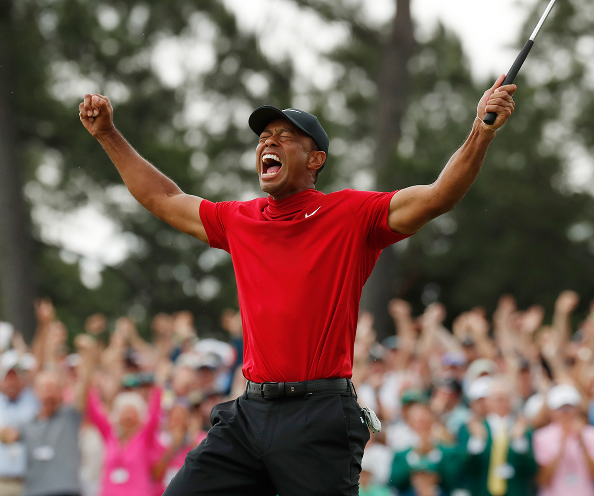 MAS0414TIGERWINS485
