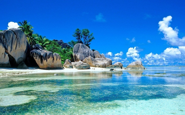 tropical-paradise-theme-jx2